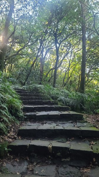 2026-0213 苗圃-凱達格蘭山-七星錐-七星山南峰-小油坑-竹子湖-水車寮步道-湖田猴崁步道-3005650