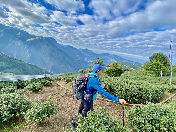 龍鳳、龍鳳峽、三叉崙、內樹皮、水桶寮、羊頭崙、志騰、竹崙、溪頭山九連峰縱走  2022/1/11570371