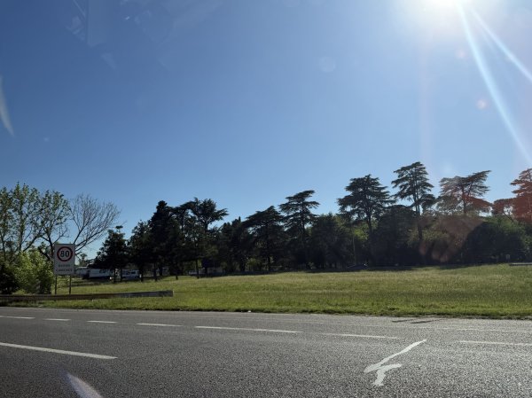 [紐約馬之行-54] 2025_1113~14 義大利廣場2953502