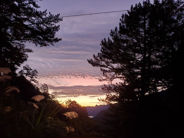 中橫大辣－屏風山1507787