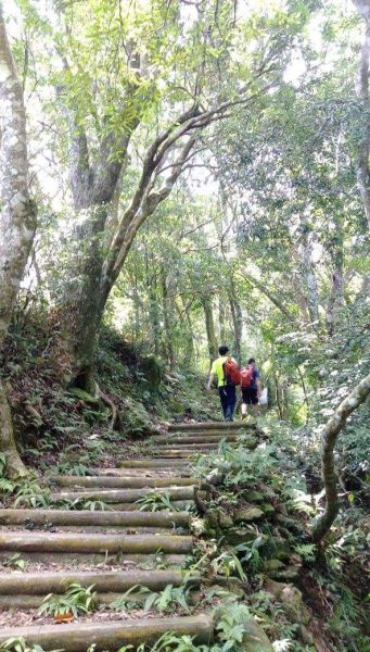 馬那邦山輕鬆健行