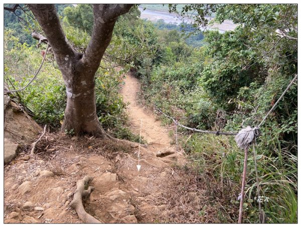 旗靈縱走(旗尾山、福美山、金字面山、人頭山、靈山)2996456