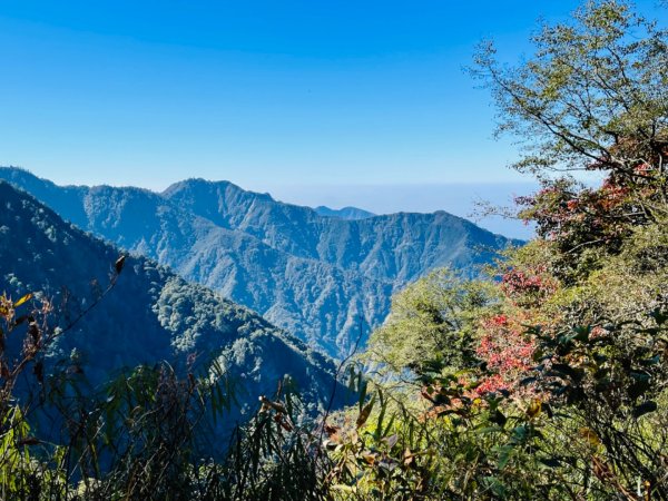 1101211大雪山230林道9.2k/雪山西稜登山口1546368