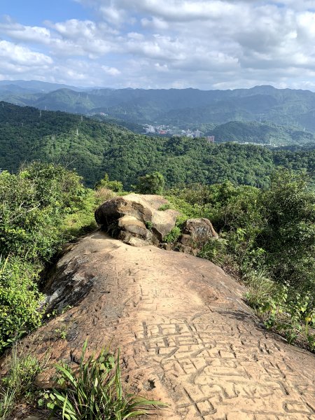 201001-四獸山縱走（虎山、豹山、獅山、象山）1372860