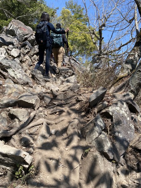 波津加山3059417