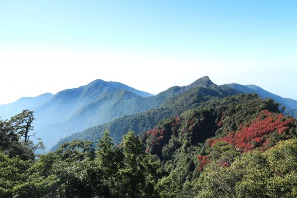 鳶嘴稍來賞楓行235545