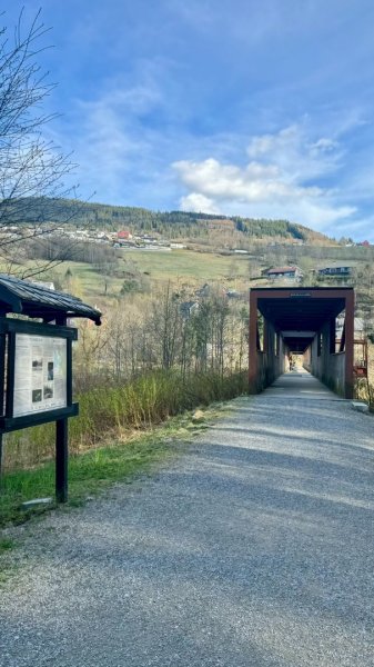 挪威🇳🇴Voss峽谷秘境2810309