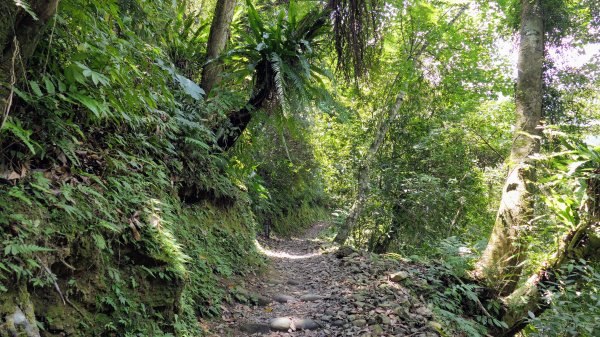 福山部落,內洞森遊區2552407