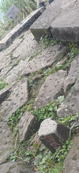 大尖山.新北汐止3050900