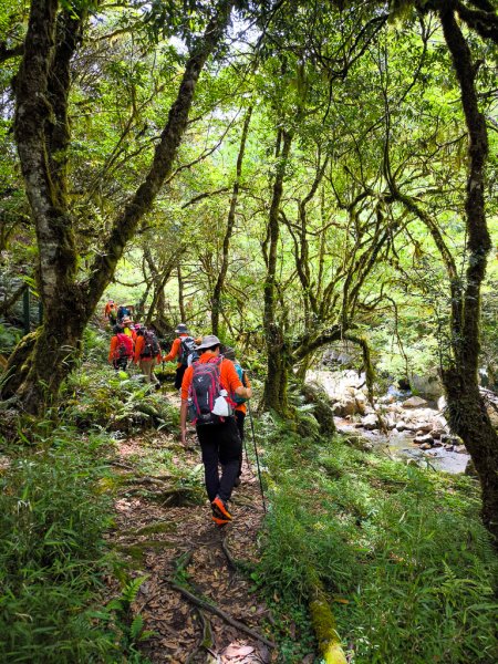 2025-05-17 羅葉尾溪秘境2792412