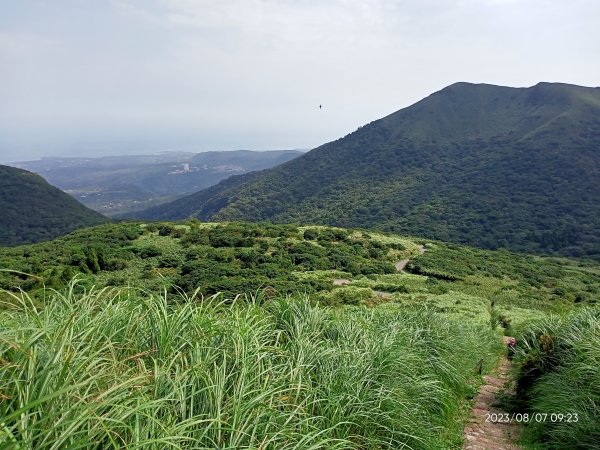 【臺北大縱走 2+1】鞍部→大屯山主、南、西峰連走→面天坪→清天宮2242870