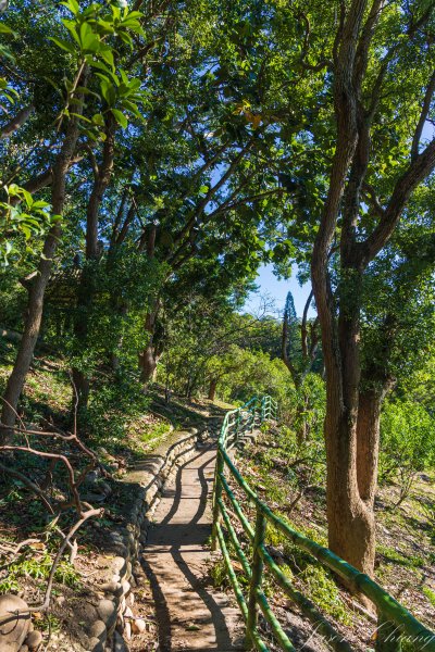 [台中]鐵砧山、永信運動公園2642304