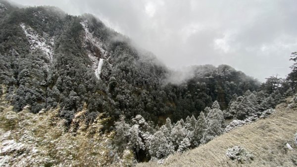 塔塔加-排雲山莊。驚喜滿分的糖霜雪景1565794