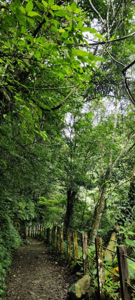 新竹內灣．馬胎古道202506212823501