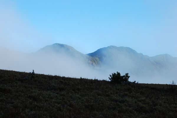 大水窟山的早晨，雲海鋪路217086