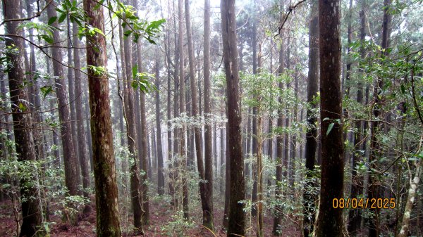 【油羅山/露營】 仙境舒活健走，雲端徜徉野趣！2887921