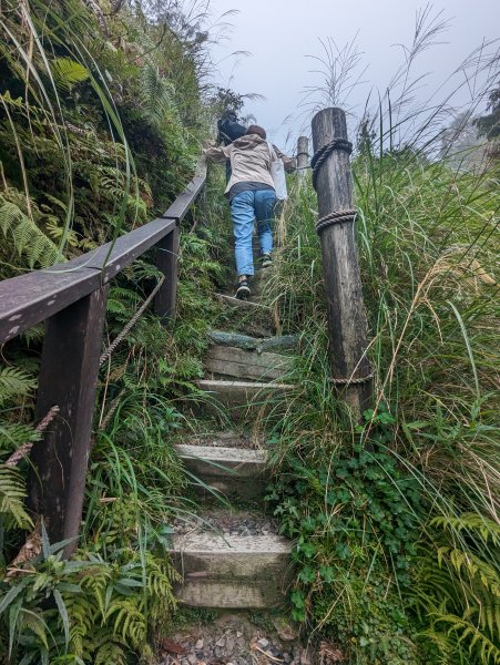 翠峰湖環湖。東口遇見黃喉貂2284323