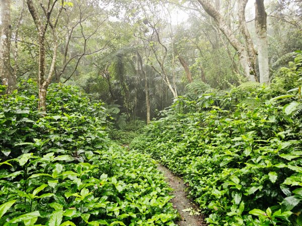 2026年臺北大縱走第六段：中華科技大學至捷運麟光站3026028