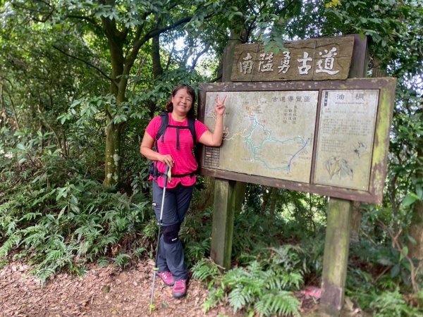 苗栗縣獅潭鄉鳴凰古道O型縱走2803687