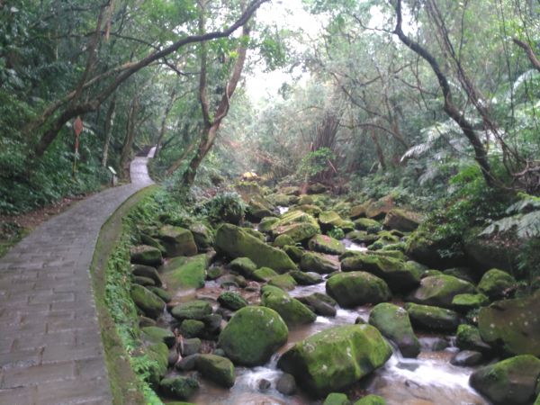 圓覺寺步道106129