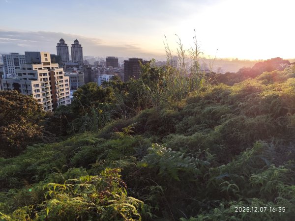 【臺北大縱走 5】碧山巖→忠勇山越嶺步道→金龍產業道路→圓明寺步道→鄭成功廟→潛園→格物台→劍潭古寺2959017