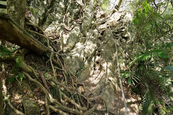 臺中 和平 屋我尾山、十文溪山2699456