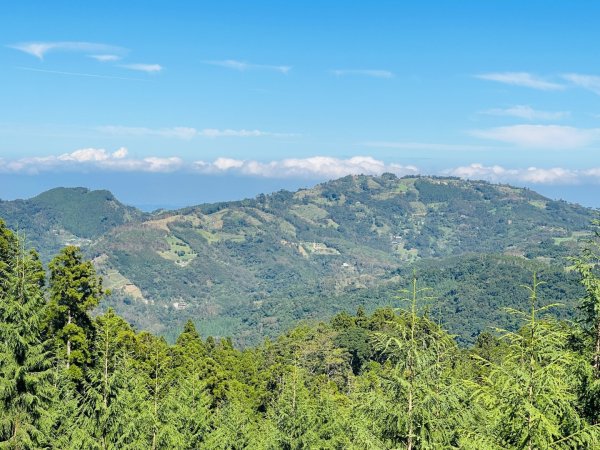 1141116油羅山2946416