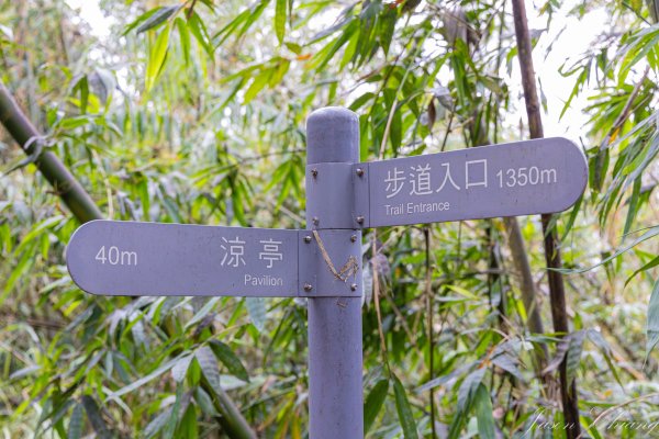 [台南]崁頭山2848477