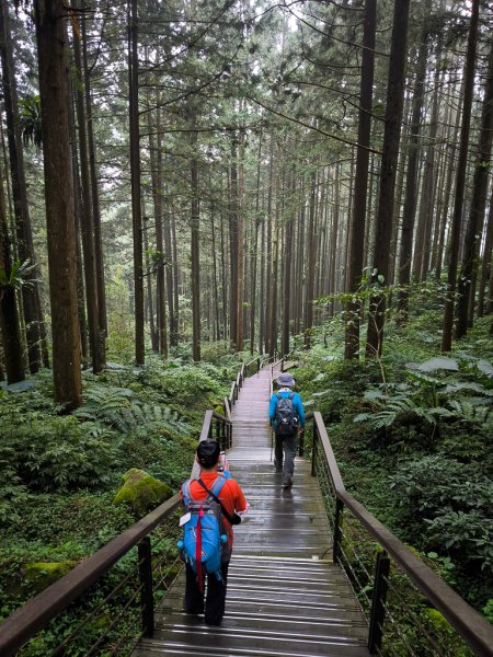 2025-09-14 奮起湖2887435