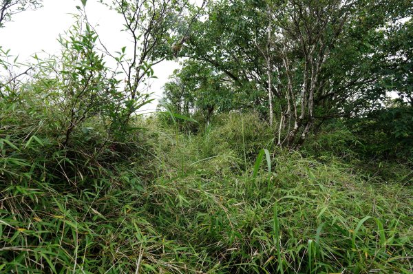 新北 烏來 大礁溪山2821593