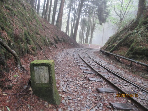 大塔山步道907511