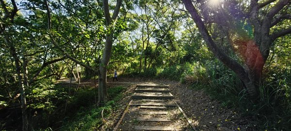 2025/11/09-青青草原步道2933456