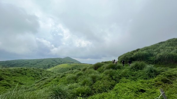 230701 擎天崗環形步道 🐂2201268