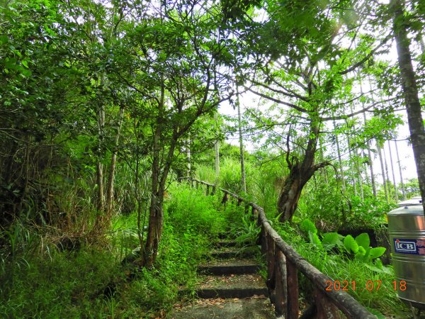 新北 雙溪 西九份坑山1426879