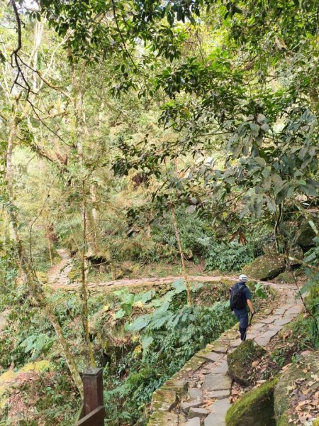 20251218溪頭鳳凰山台寅山上天文台至妖怪村買菜O繞2965597