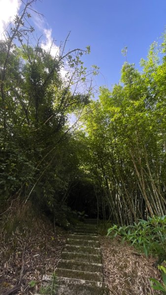 微笑山⛰️線-大棟-二格山-五分山-天上山-鳶山💎12條步道完成💙2841433