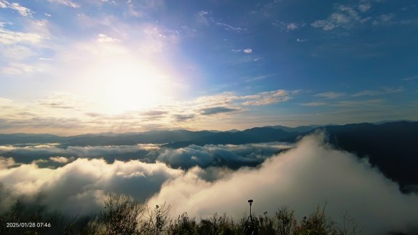 除夕寒流來襲的翡翠水庫雲海&天元宮寒櫻1/282700702