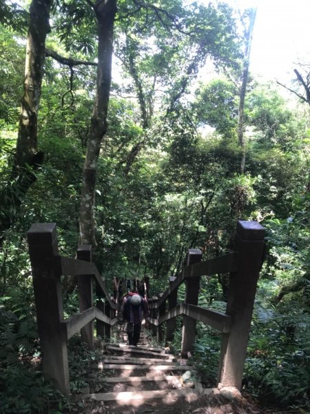 新竹五指山599752