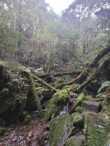 福巴越嶺國家步道2364577