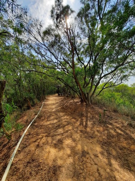 《台中》大肚環保公園登山步道、望高寮賞景1055276