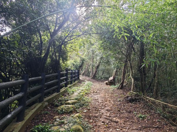 [皮皮獅動物派對-03/10] 2026_0822 石光古道(老虎山步道)3120809
