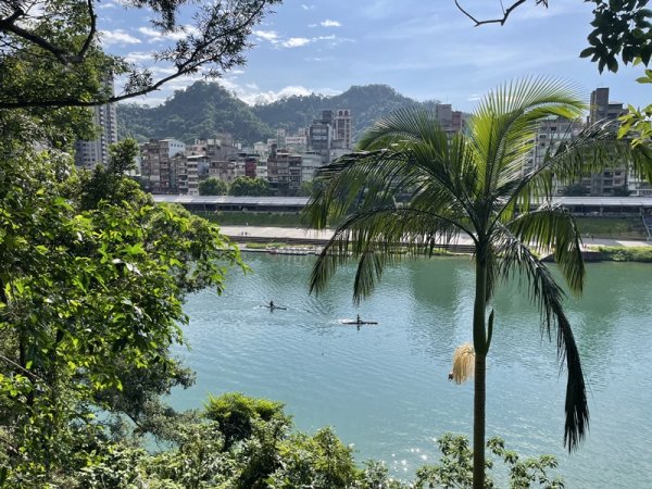 【二格山系】和美山螢火蟲2852565