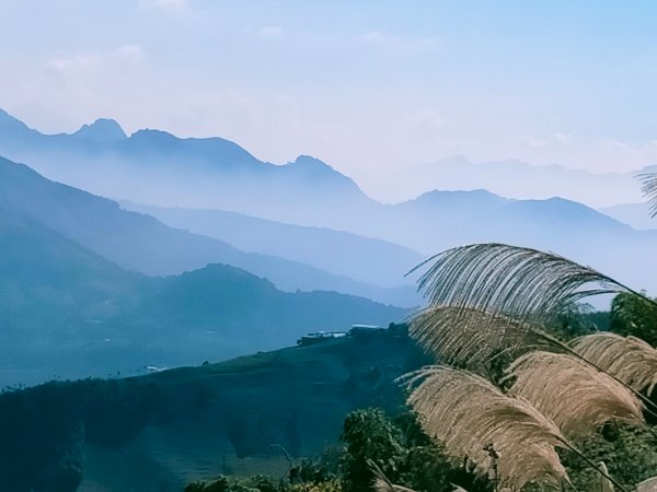 雲嘉連峰2365739
