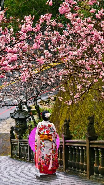 內湖碧山巖 2/182714784