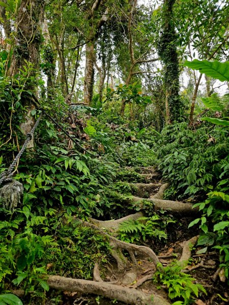 都蘭山-小百岳#93-台東縣東河鄉2779399