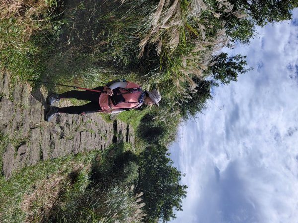 苗圃-七星山主,東峰-大屯山主峰-二子坪-202410262859678