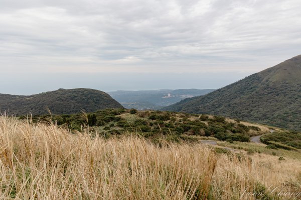 [台北]大屯山2693402