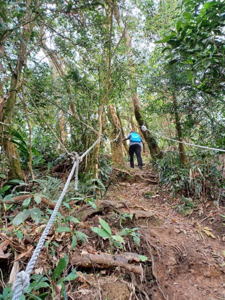 【台南白河】雞籠山+九龍山+大凍山O繞縱走2797153