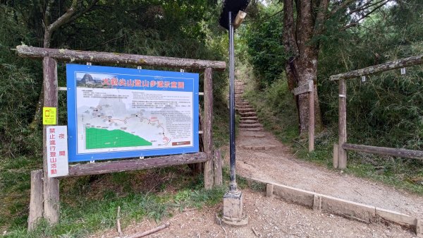 大霸群峰登山步道(大鹿林道線)2911402