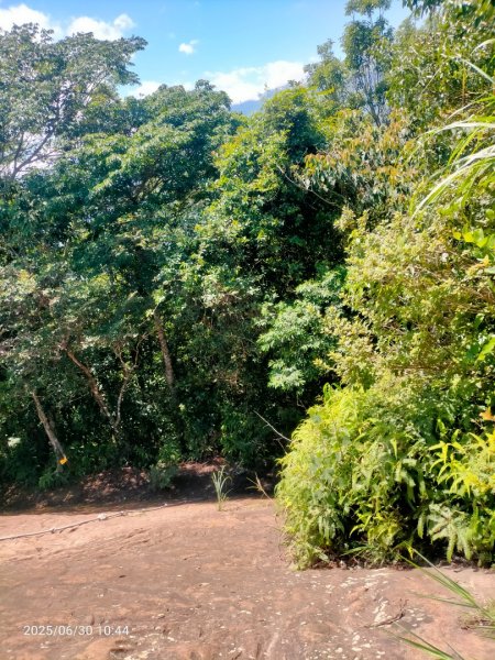 白石湖+打鐵寮古道2824164